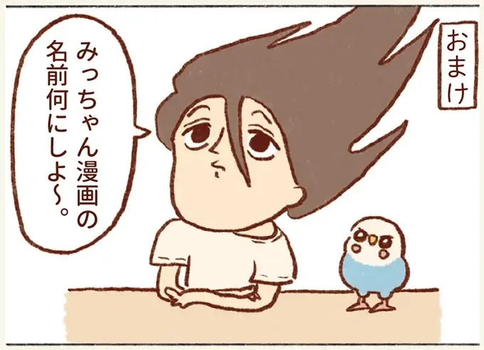 「プジェ、キュキュ、ジャア」たまに来る「ピヨ」の鳴き声がかわいい我が家のセキセイインコ／プジェ日記！ （8）