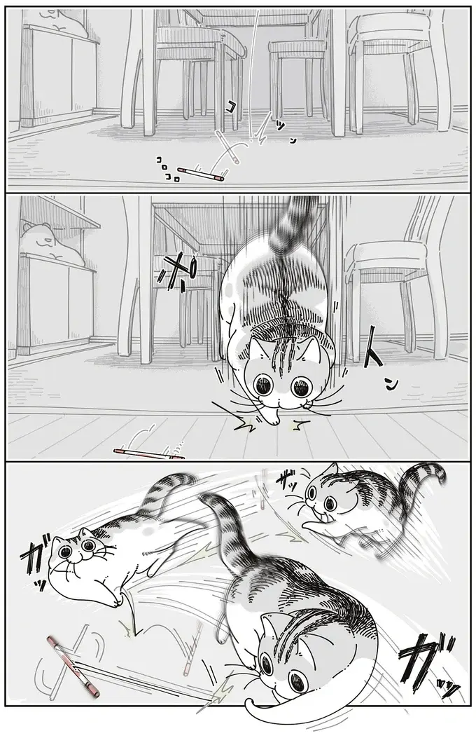 愛猫の一部始終を飼い主が目撃⁉ 机の上のペンがたびたび消失する件／夜は猫といっしょ7（4）