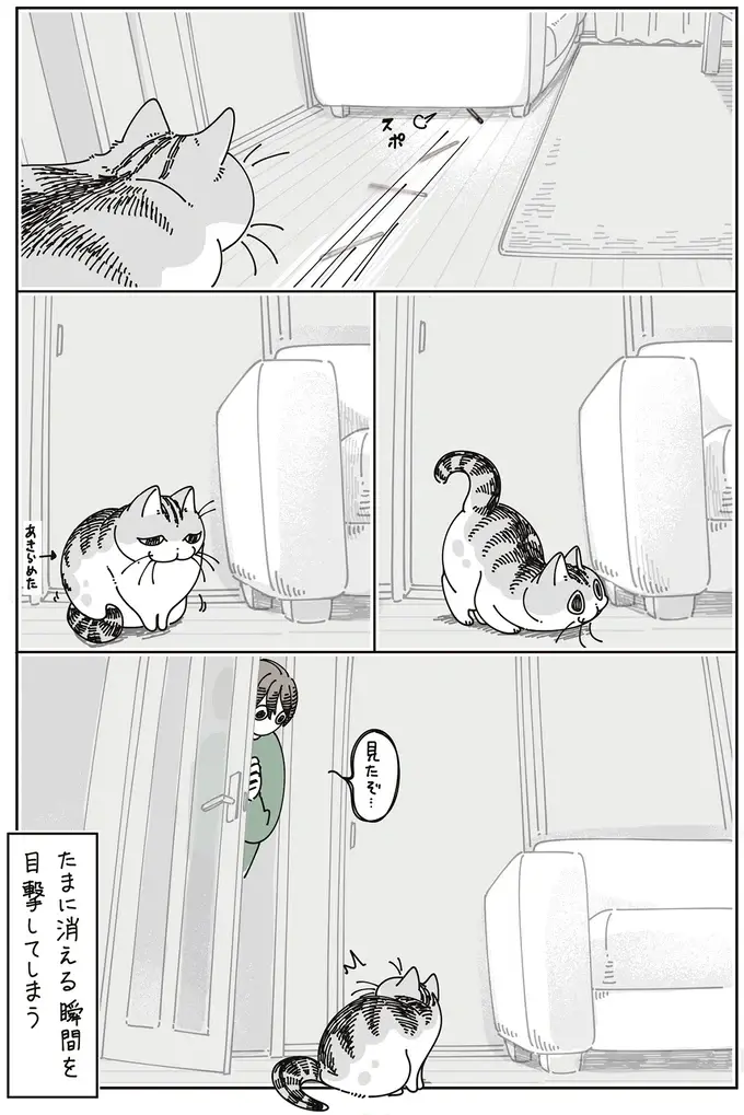 愛猫の一部始終を飼い主が目撃⁉ 机の上のペンがたびたび消失する件／夜は猫といっしょ7（5）