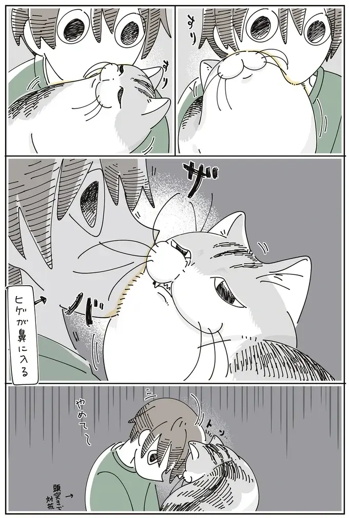 猫が飼い主の鼻にザバ。飼い主が猫の耳にザバ。すりすり中のこれはお互い様？／夜は猫といっしょ7（4）