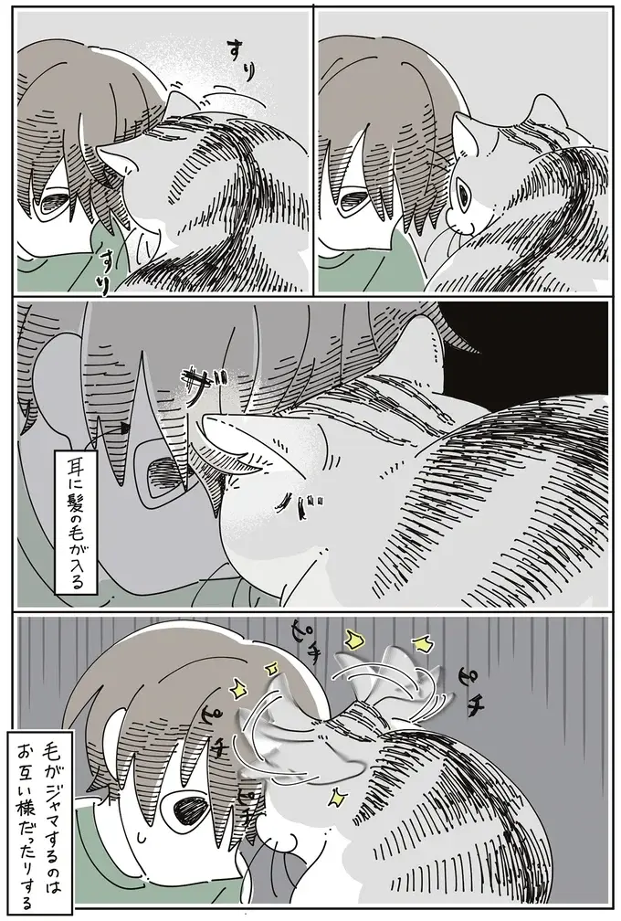 猫が飼い主の鼻にザバ。飼い主が猫の耳にザバ。すりすり中のこれはお互い様？／夜は猫といっしょ7（5）