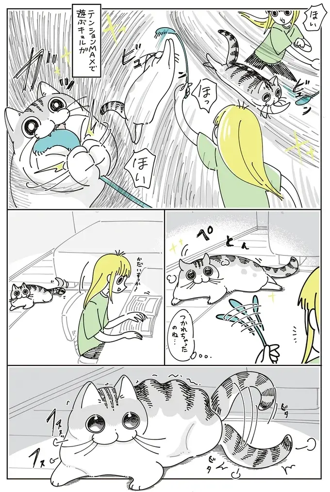 素手で来いと？ 愛猫と猫じゃらしで遊んでいたら...え？／夜は猫といっしょ7（3）