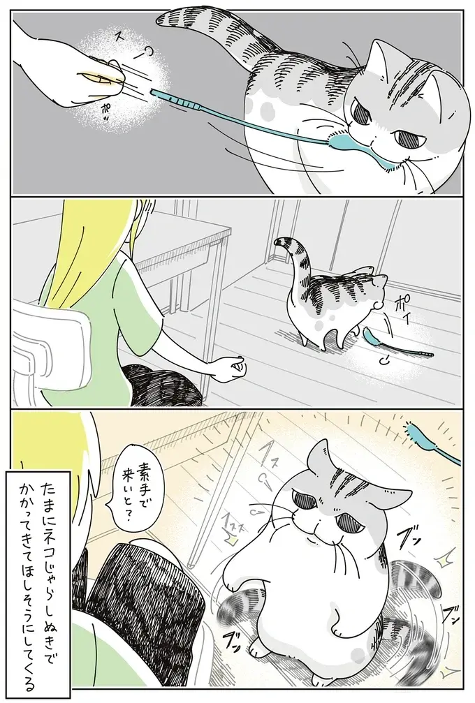 素手で来いと？ 愛猫と猫じゃらしで遊んでいたら...え？／夜は猫といっしょ7（5）