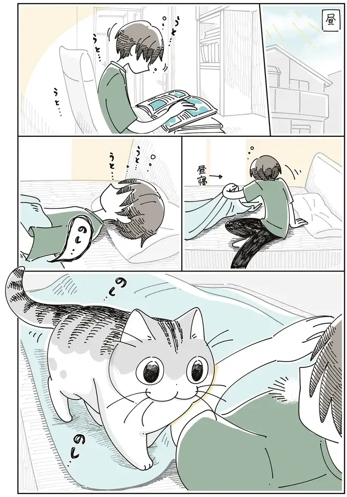 昼寝をするはずだったのに！ 愛猫がやって来て、つい遊びモードに...／夜は猫といっしょ7（3）
