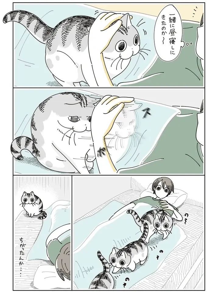 昼寝をするはずだったのに！ 愛猫がやって来て、つい遊びモードに...／夜は猫といっしょ7（4）