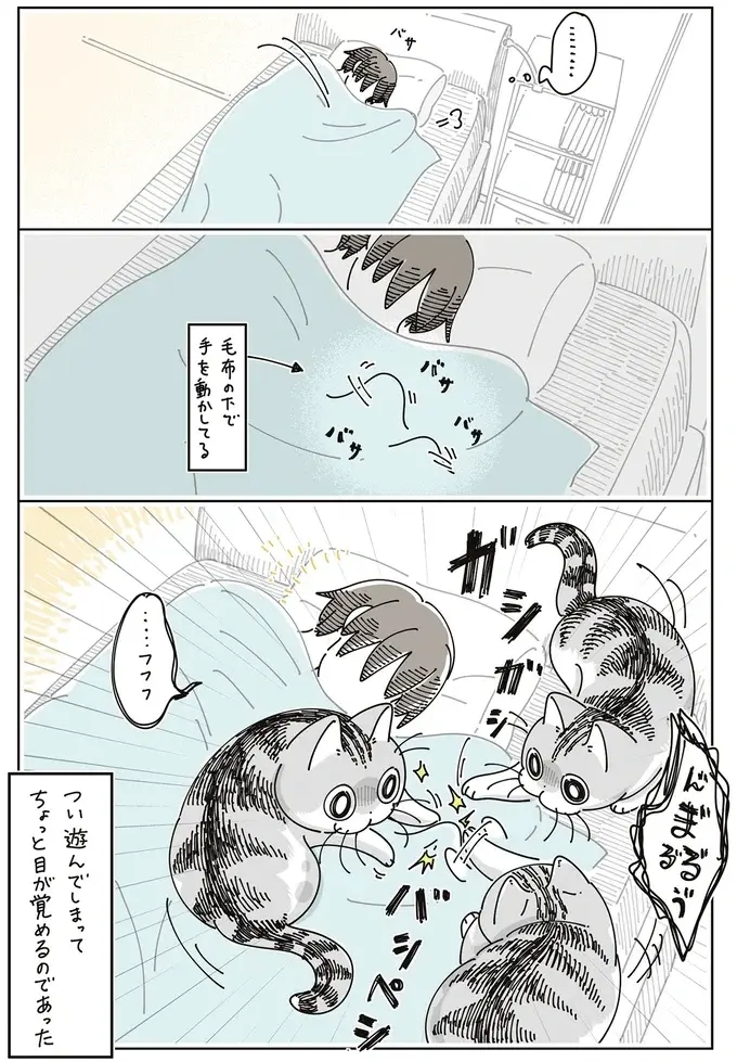 昼寝をするはずだったのに！ 愛猫がやって来て、つい遊びモードに...／夜は猫といっしょ7（5）