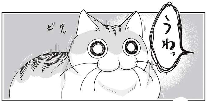 なぜか疑い深い猫。飼い主が「なんでもないよ」と謝っても...／夜は猫といっしょ7（1）