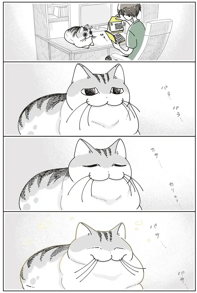 なぜか疑い深い猫。飼い主が「なんでもないよ」と謝っても...／夜は猫といっしょ7（3）