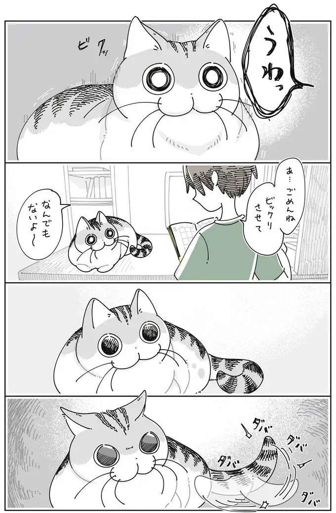 なぜか疑い深い猫。飼い主が「なんでもないよ」と謝っても...／夜は猫といっしょ7（4）