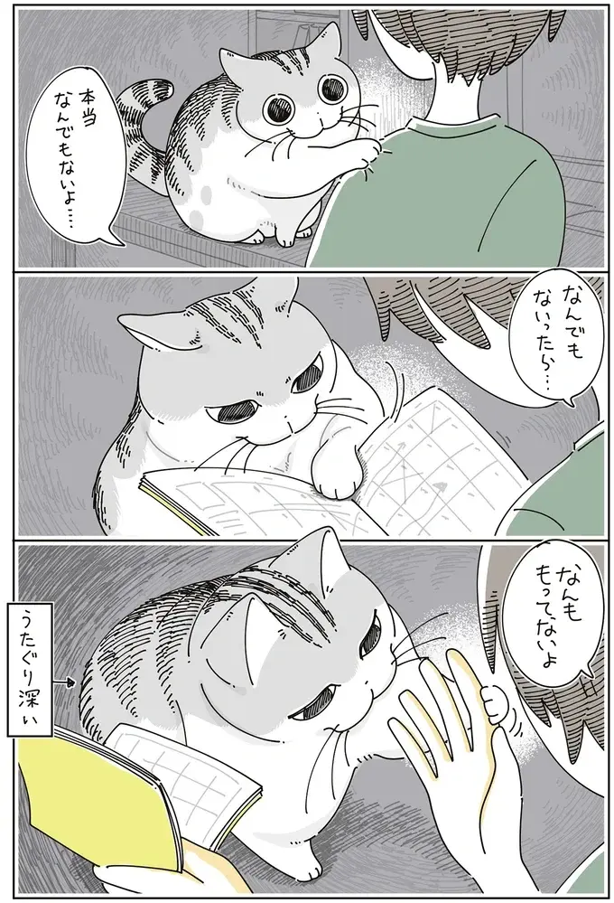 なぜか疑い深い猫。飼い主が「なんでもないよ」と謝っても...／夜は猫といっしょ7（5）
