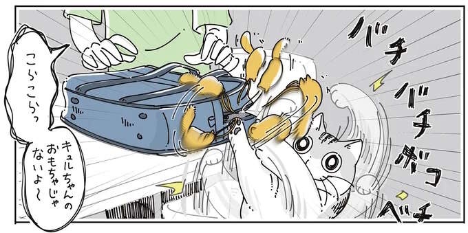 愛猫が私のカバンについたマスコットにちょっかい。一生懸命な姿につい流されそうになり...／夜は猫といっしょ7（1）