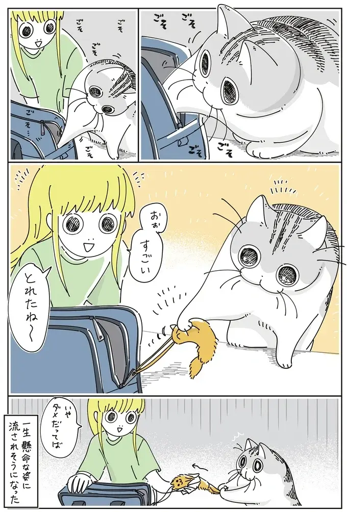 愛猫が私のカバンについたマスコットにちょっかい。一生懸命な姿につい流されそうになり...／夜は猫といっしょ7（5）
