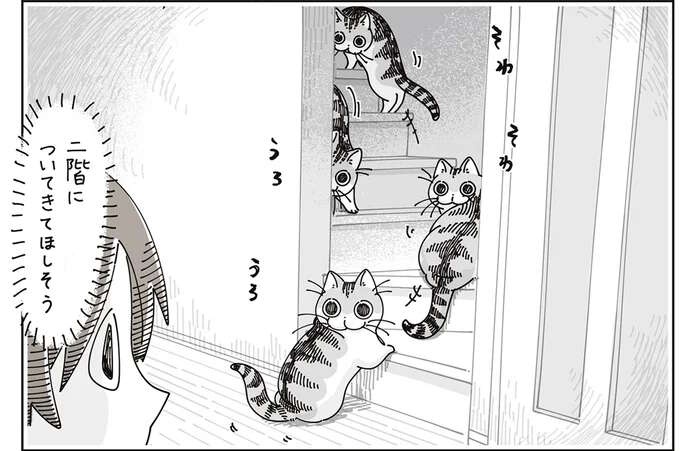 愛猫が私の肩を思わせぶりにポン。ついていっても特になにもないんでしょ...？／夜は猫といっしょ7（1）