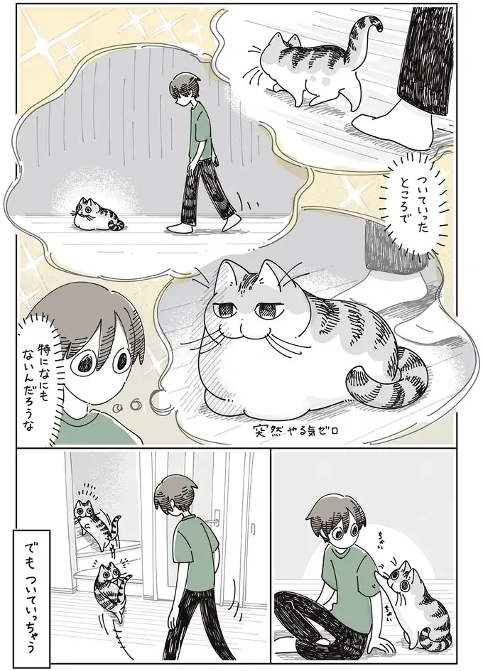 愛猫が私の肩を思わせぶりにポン。ついていっても特になにもないんでしょ...？／夜は猫といっしょ7（5）