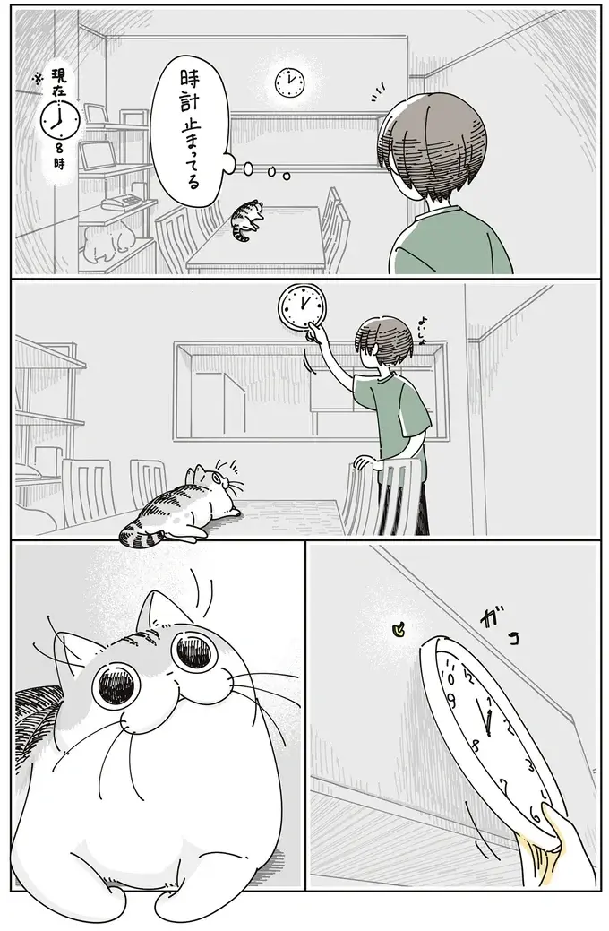 猫的には気になってしかたない⁉  時計を外したら壁についてる謎のフック／夜は猫といっしょ7（3）