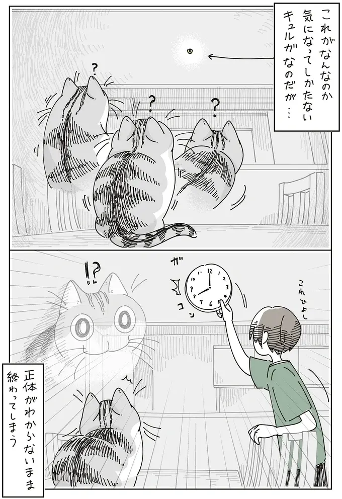猫的には気になってしかたない⁉  時計を外したら壁についてる謎のフック／夜は猫といっしょ7（5）