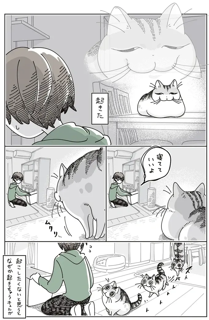 愛猫がスヤスヤ...。起こしたくないと思うとなぜか起きちゃうのはなぜ／夜は猫といっしょ7（5）