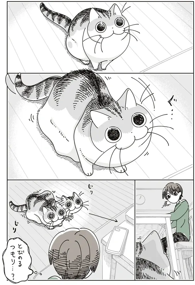 愛猫が今にも散らかった机に飛び乗ろうとしてる⁉ でも飼い主が慌てて片づけると...／夜は猫といっしょ7（3）