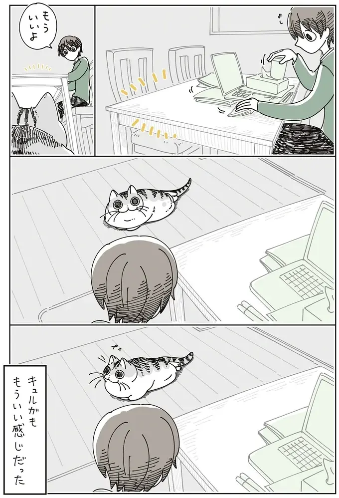 愛猫が今にも散らかった机に飛び乗ろうとしてる⁉ でも飼い主が慌てて片づけると...／夜は猫といっしょ7（5）