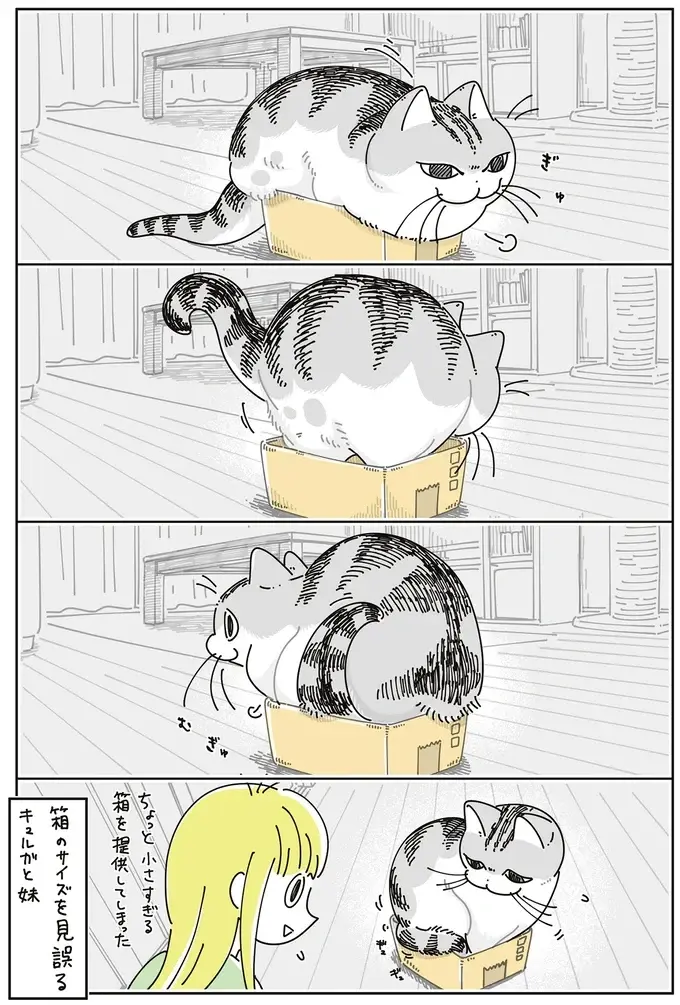 愛猫のサイズを見誤った！ 小さすぎる箱になんとか入ろうとするけれど...／夜は猫といっしょ7（5）