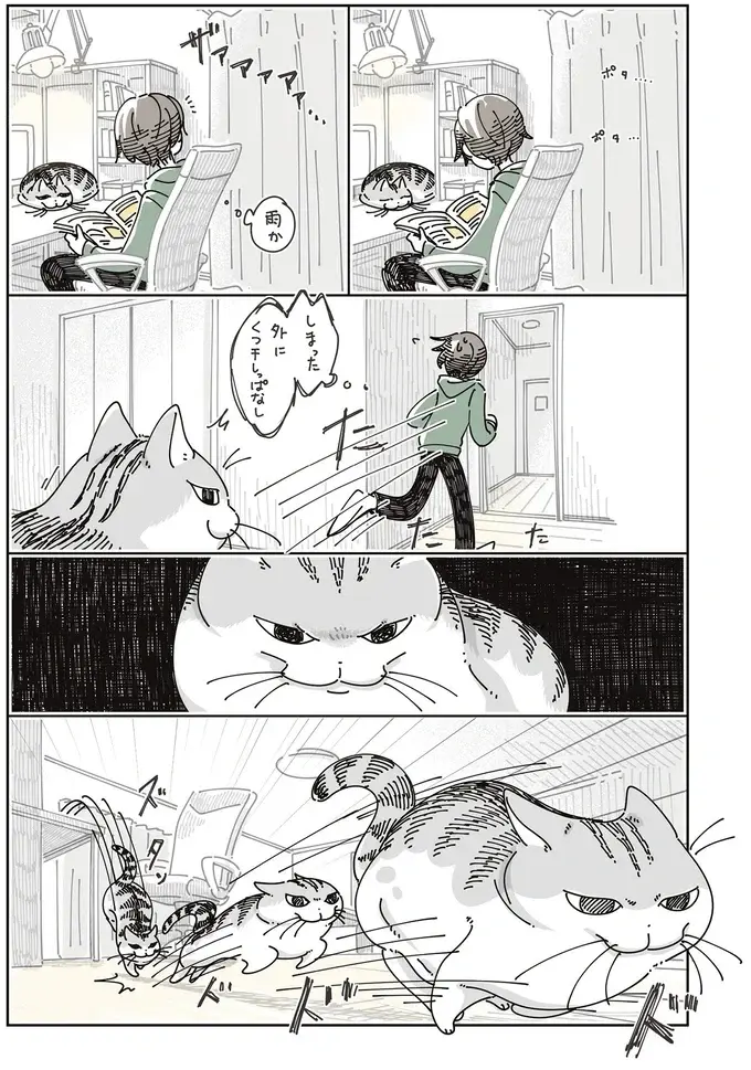 愛猫が、走る私を追い越して足元でピタッ。...通せんぼしてる？ それとも...／夜は猫といっしょ8（3）