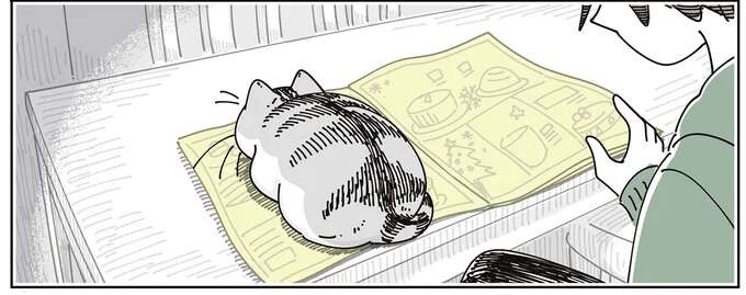 愛猫がチラシの束の上でくつろぎ始め...、お互い邪魔だけど、どけるほどではない？／夜は猫といっしょ8（1）