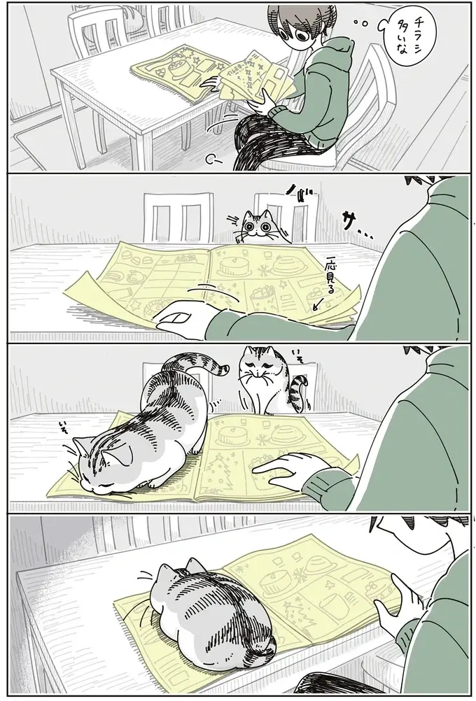 愛猫がチラシの束の上でくつろぎ始め...、お互い邪魔だけど、どけるほどではない？／夜は猫といっしょ8（3）