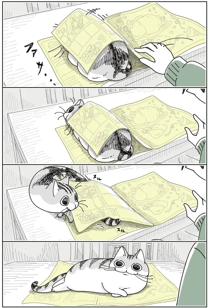 愛猫がチラシの束の上でくつろぎ始め...、お互い邪魔だけど、どけるほどではない？／夜は猫といっしょ8（4）