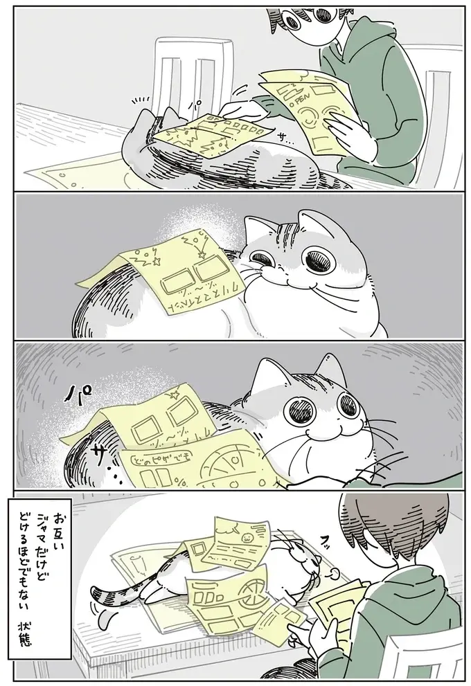 愛猫がチラシの束の上でくつろぎ始め...、お互い邪魔だけど、どけるほどではない？／夜は猫といっしょ8（5）