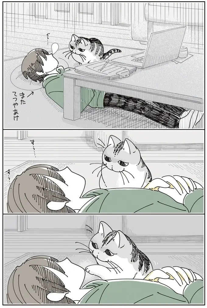 愛猫が、徹夜明けで寝ている飼い主を優しくタッチ。...もしかして確認してる？／夜は猫といっしょ8（3）