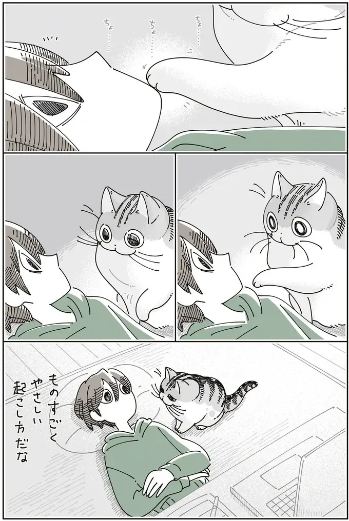 愛猫が、徹夜明けで寝ている飼い主を優しくタッチ。...もしかして確認してる？／夜は猫といっしょ8（4）