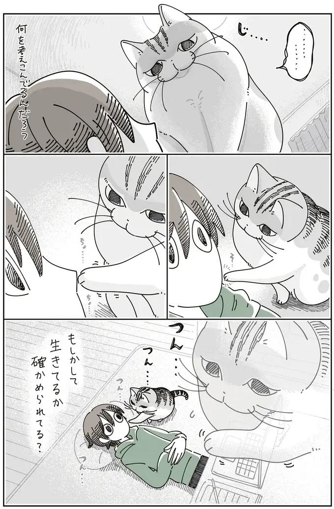 愛猫が、徹夜明けで寝ている飼い主を優しくタッチ。...もしかして確認してる？／夜は猫といっしょ8（5）