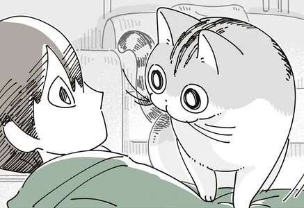 うたた寝中、愛猫が上機嫌でお腹の上へ。こんな顔されたら「どいて」なんて言えない／夜は猫といっしょ8（1）