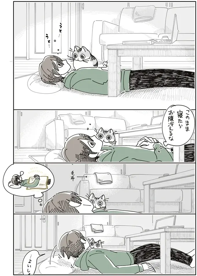 うたた寝中、愛猫が上機嫌でお腹の上へ。こんな顔されたら「どいて」なんて言えない／夜は猫といっしょ8（3）