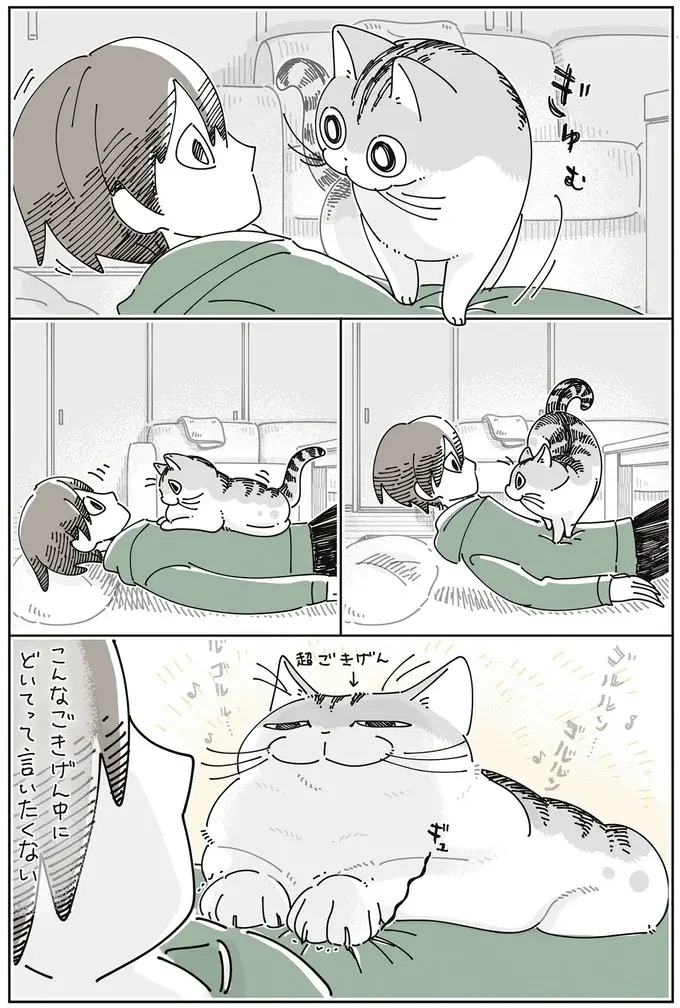 うたた寝中、愛猫が上機嫌でお腹の上へ。こんな顔されたら「どいて」なんて言えない／夜は猫といっしょ8（4）
