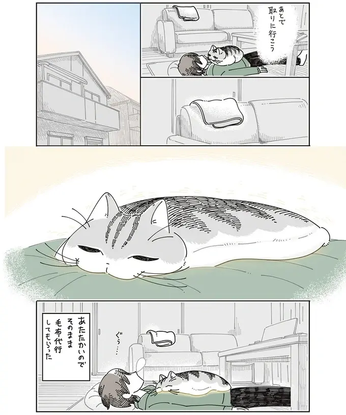 うたた寝中、愛猫が上機嫌でお腹の上へ。こんな顔されたら「どいて」なんて言えない／夜は猫といっしょ8（5）