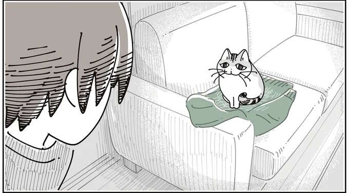 愛猫の行動に胸がしめつけられる。飼い主の帰りを待っていた猫は...／夜は猫といっしょ8（1）