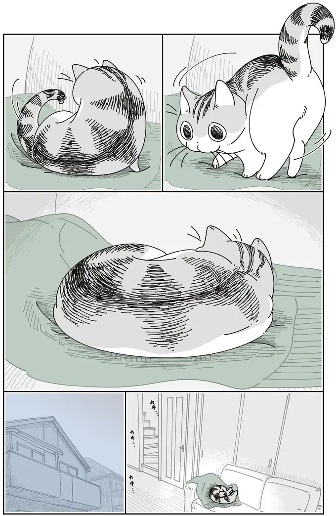 愛猫の行動に胸がしめつけられる。飼い主の帰りを待っていた猫は...／夜は猫といっしょ8（5）