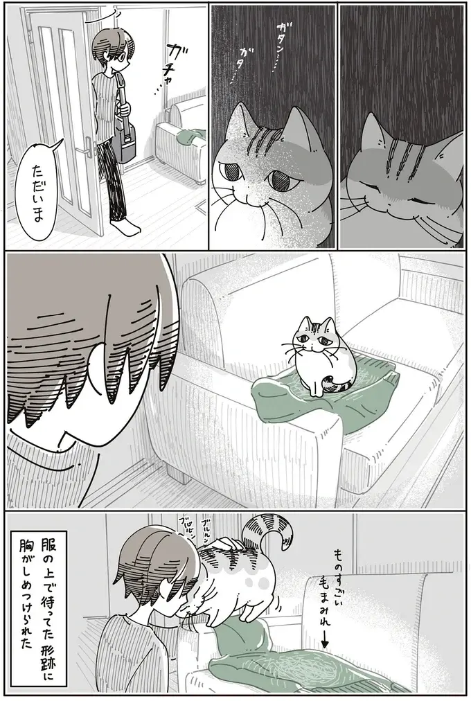 愛猫の行動に胸がしめつけられる。飼い主の帰りを待っていた猫は...／夜は猫といっしょ8（6）