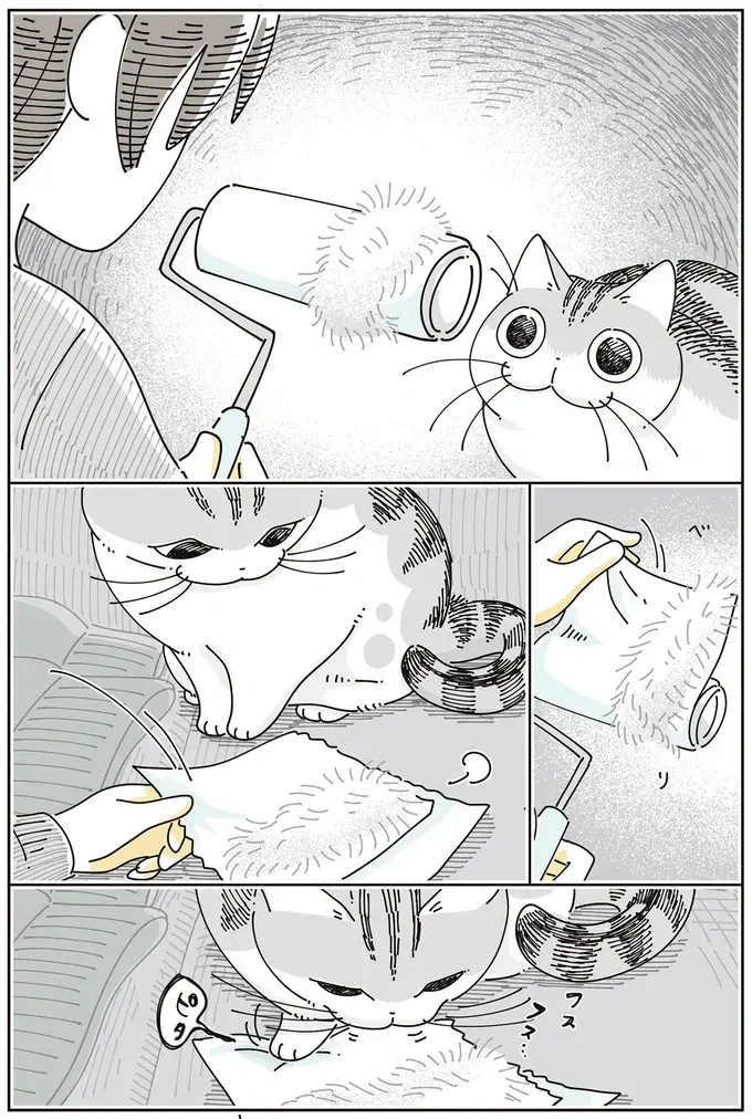 愛猫の前足にコロコロがくっついてパニック！くっつかないように丸めたら...え？／夜は猫といっしょ8（4）