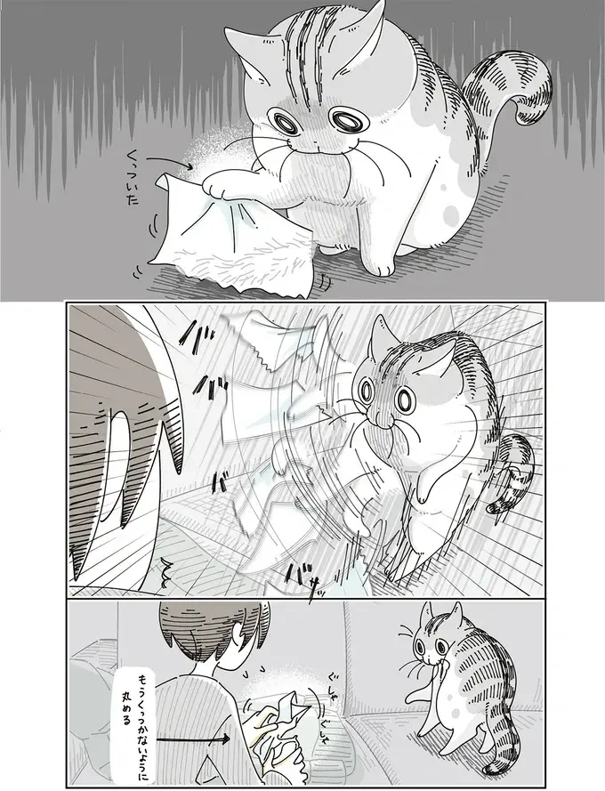 愛猫の前足にコロコロがくっついてパニック！くっつかないように丸めたら...え？／夜は猫といっしょ8（5）
