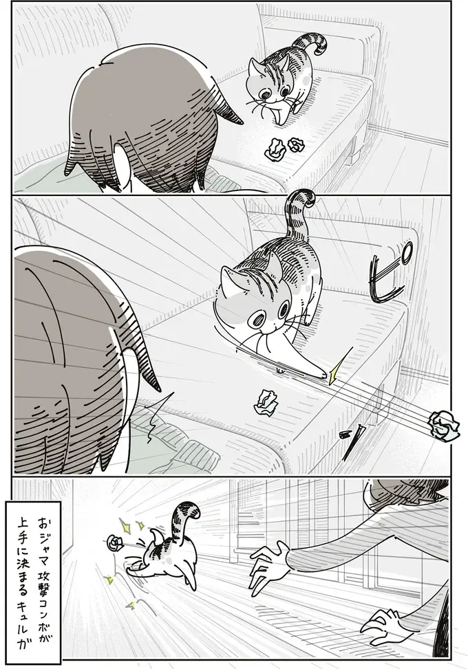 愛猫の前足にコロコロがくっついてパニック！くっつかないように丸めたら...え？／夜は猫といっしょ8（6）