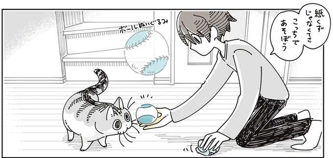 紙くずで大興奮の愛猫。オモチャを渡してみたら...／夜は猫といっしょ8（1）