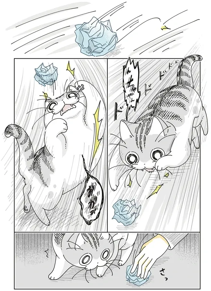 紙くずで大興奮の愛猫。オモチャを渡してみたら...／夜は猫といっしょ8（3）