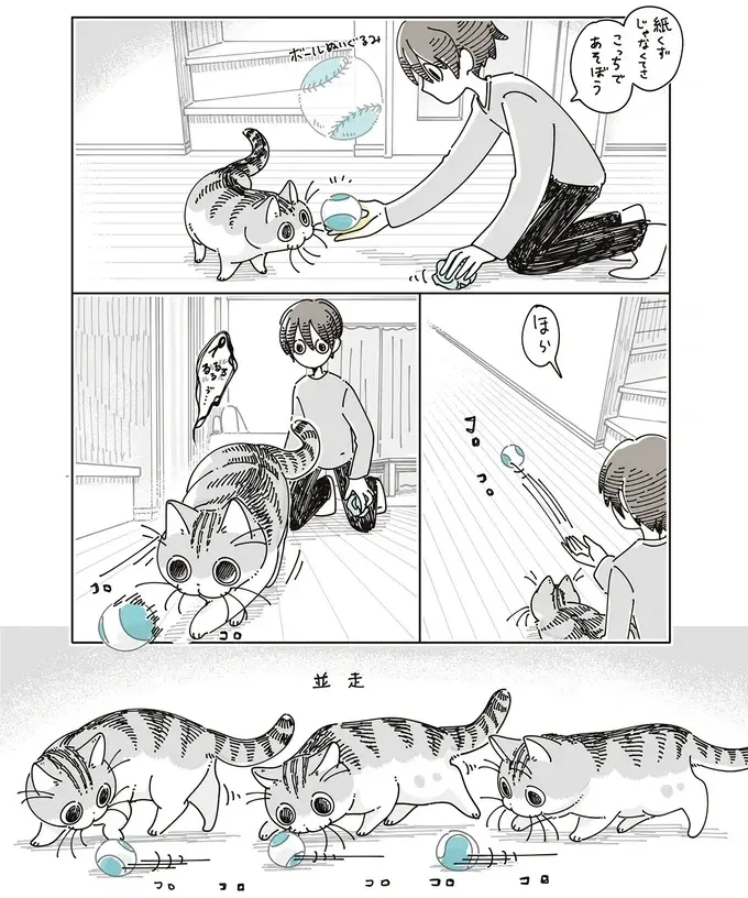 紙くずで大興奮の愛猫。オモチャを渡してみたら...／夜は猫といっしょ8（4）