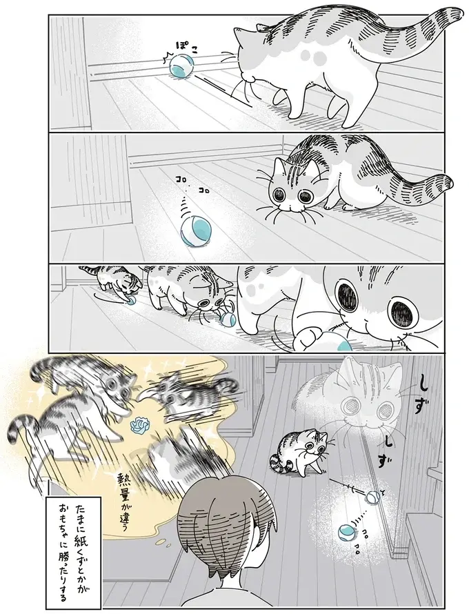 紙くずで大興奮の愛猫。オモチャを渡してみたら...／夜は猫といっしょ8（5）