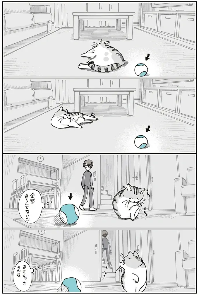愛猫のそばにいつもあるオモチャ。まったく遊んでないけど、本当は気に入ってる...？／夜は猫といっしょ8（3）