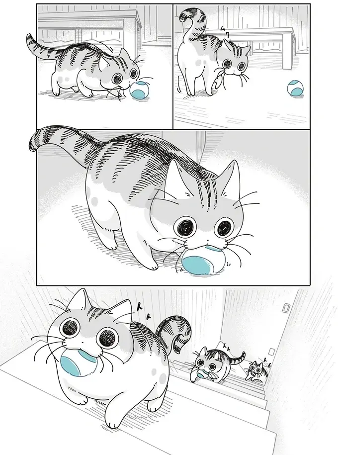 愛猫のそばにいつもあるオモチャ。まったく遊んでないけど、本当は気に入ってる...？／夜は猫といっしょ8（4）