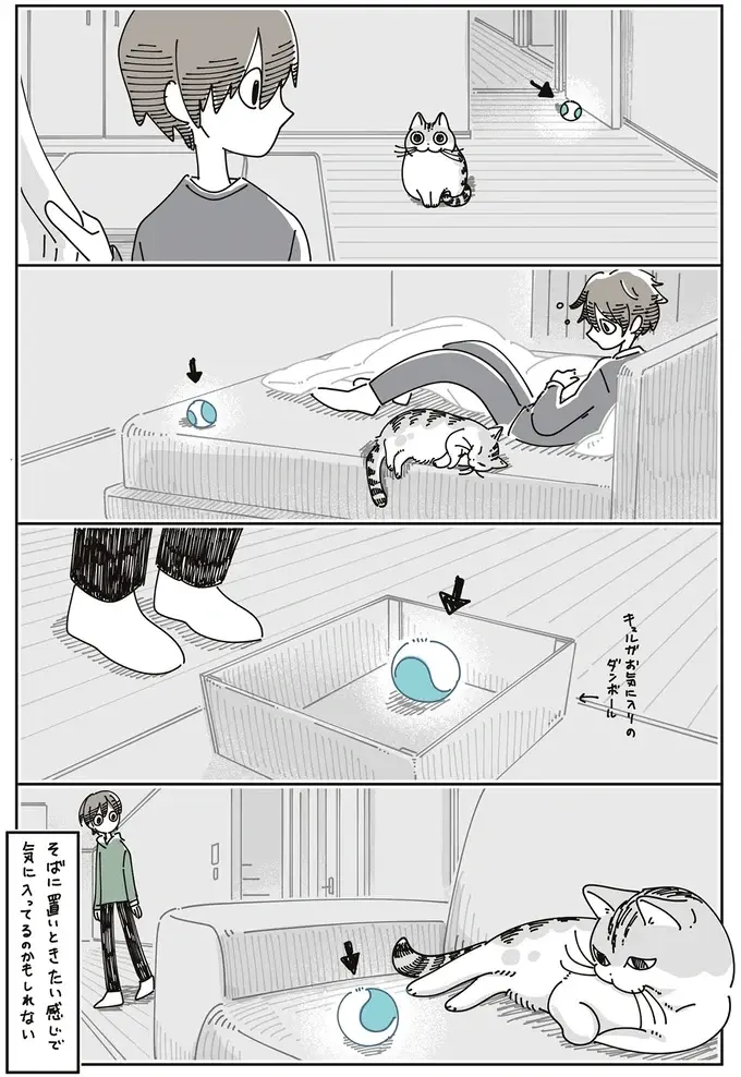 愛猫のそばにいつもあるオモチャ。まったく遊んでないけど、本当は気に入ってる...？／夜は猫といっしょ8（5）