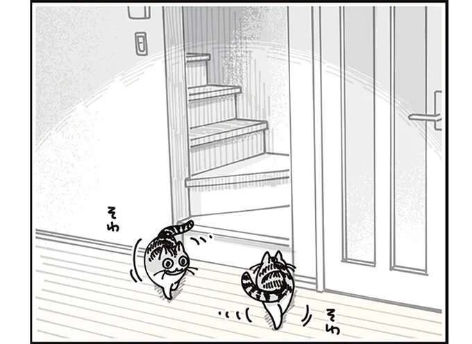 猫が飼い主の起床の気配を察知。なかなかやってこないと...かわいい！／夜は猫といっしょ8（1）